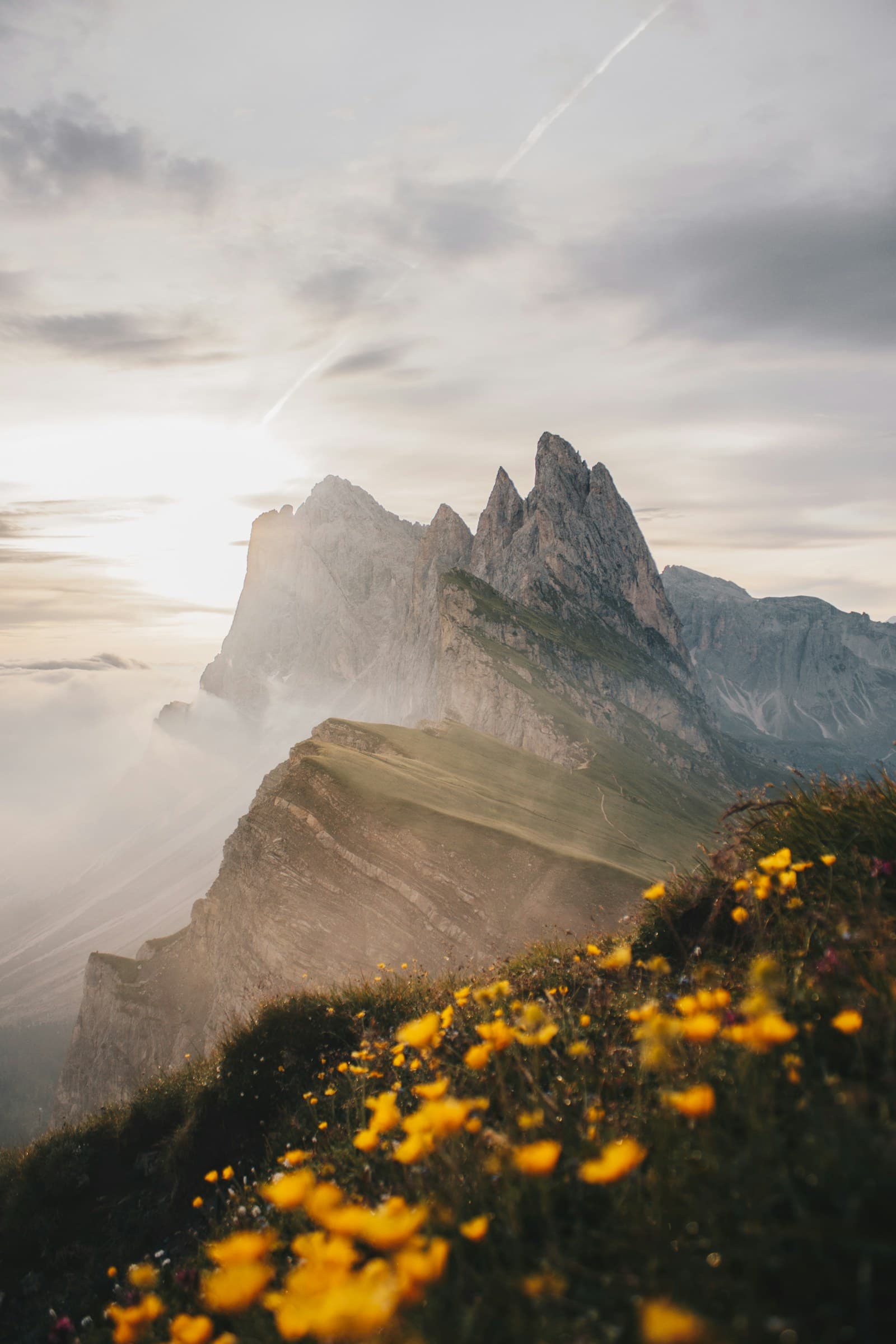 Seceda Dolomites at sunrise — warm golden mountain ridges